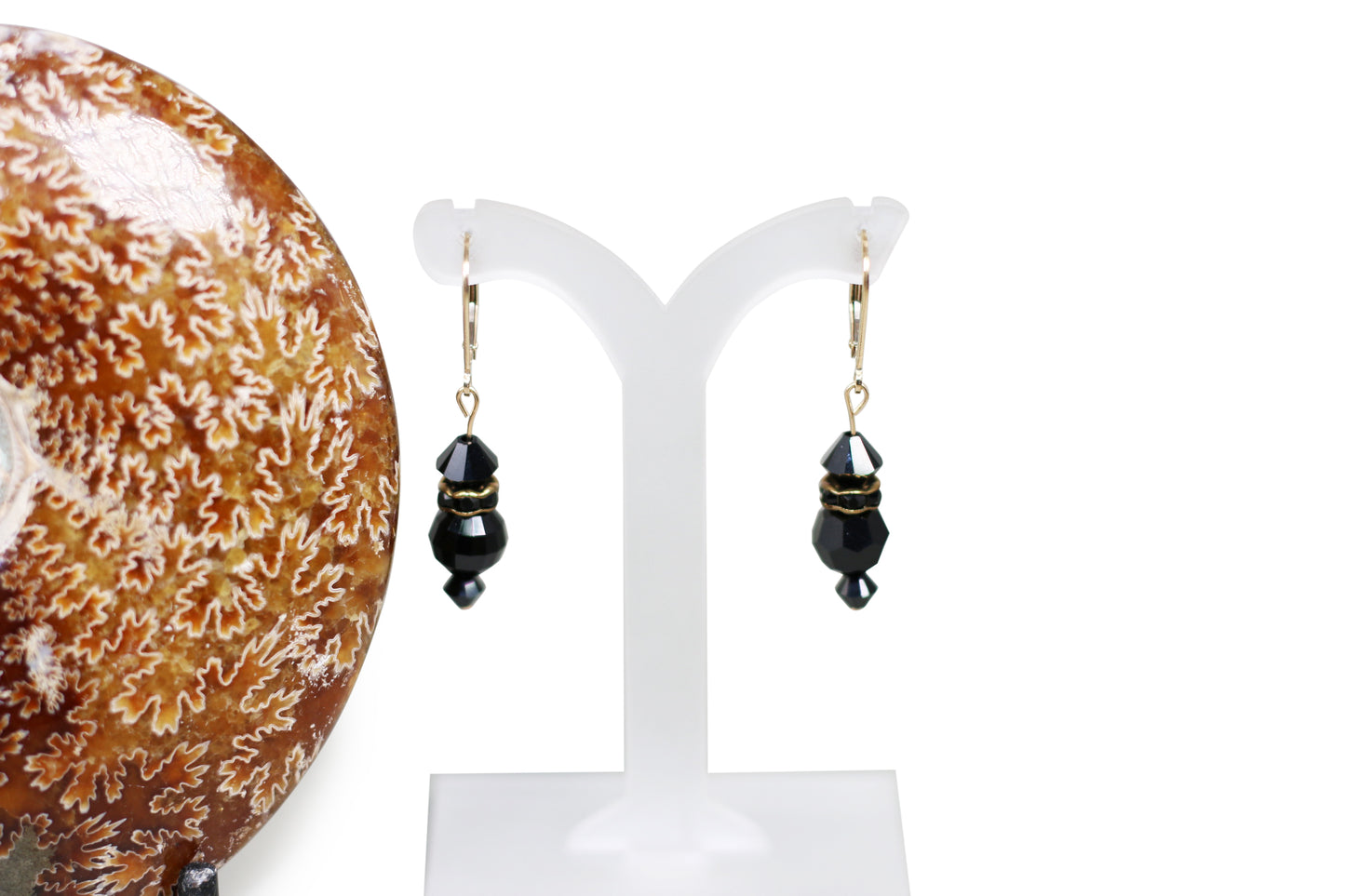 Jet Black Crystal Earrings