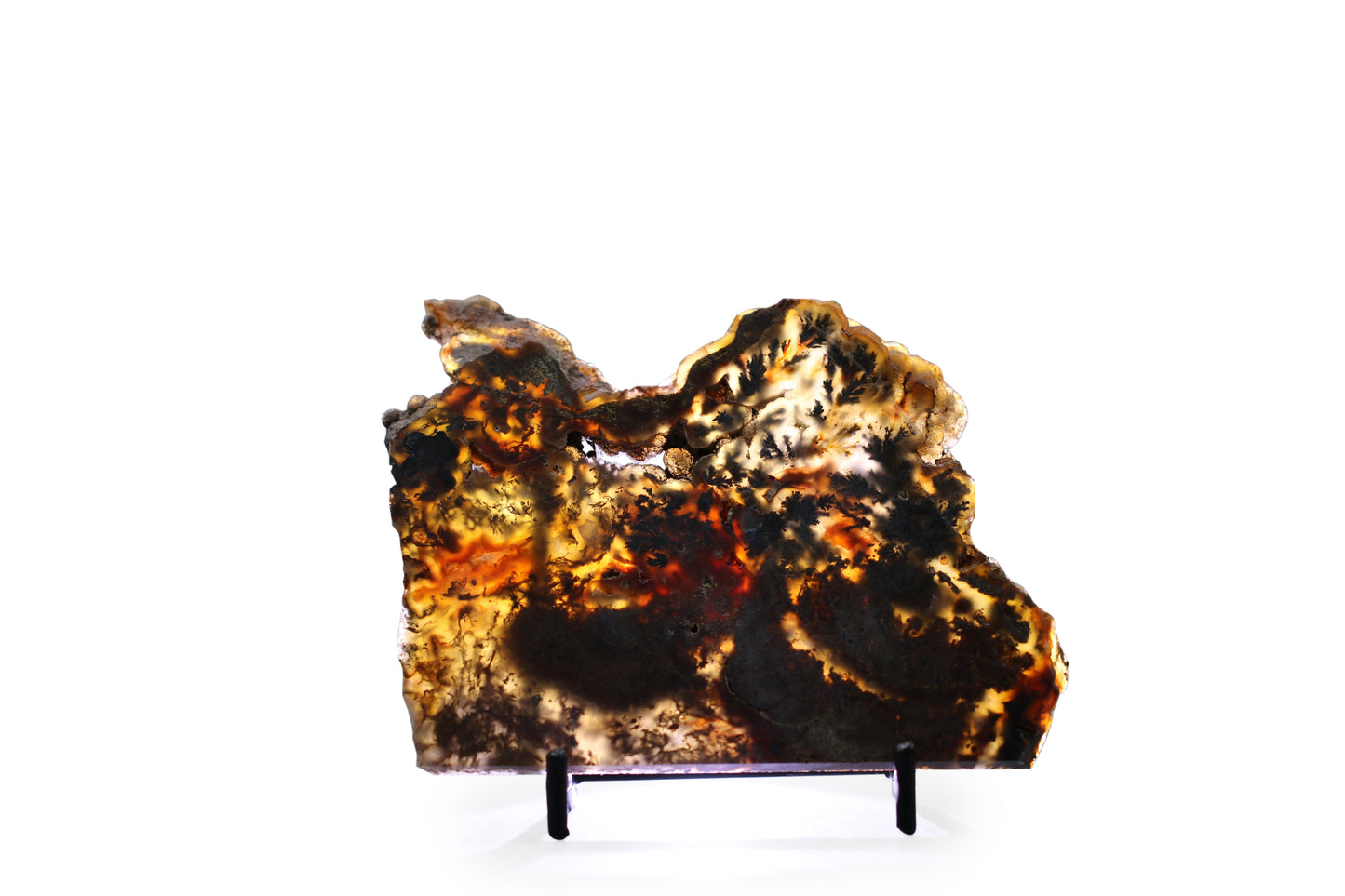 West Texas Plume Agate