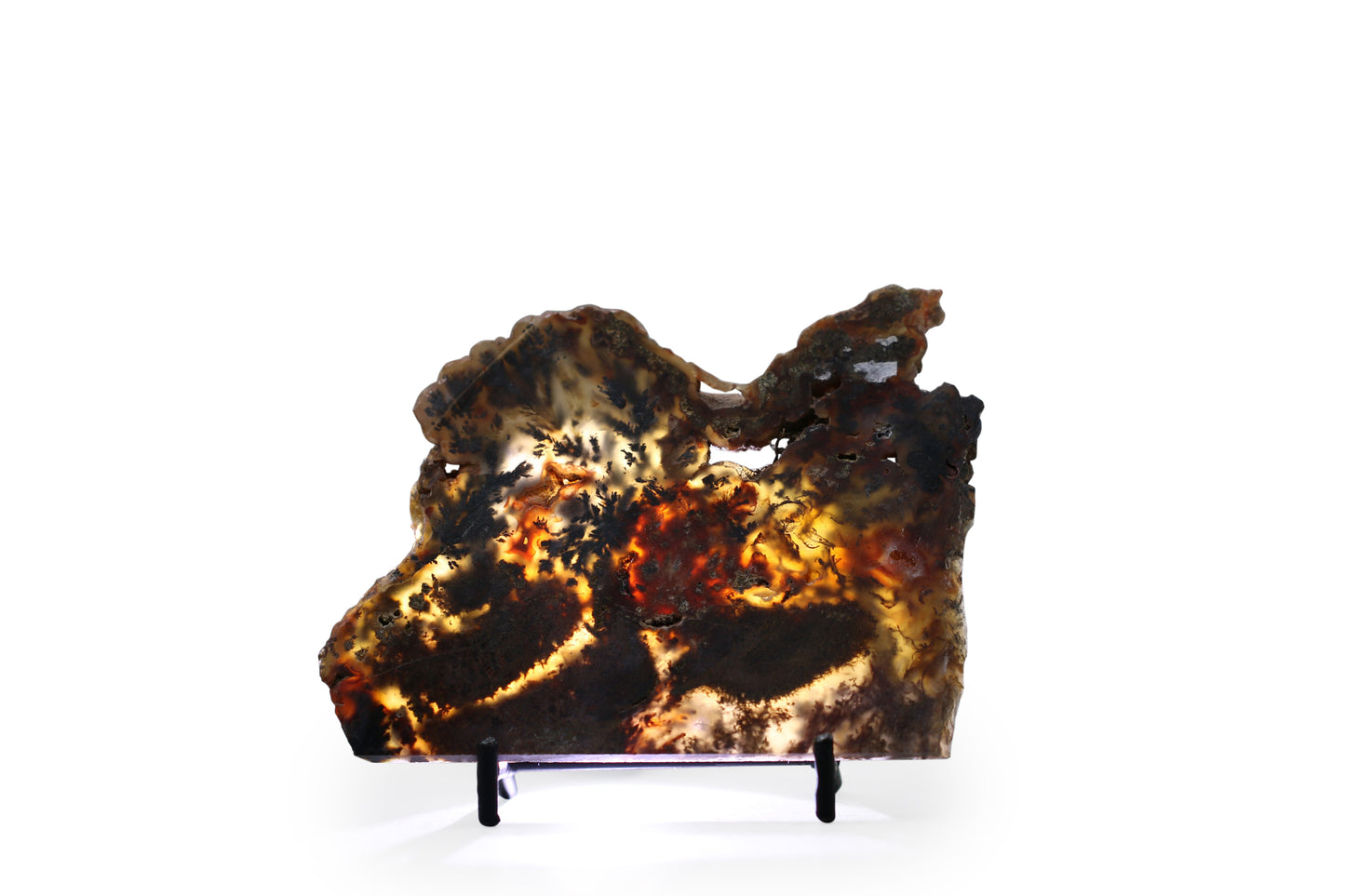 West Texas Plume Agate