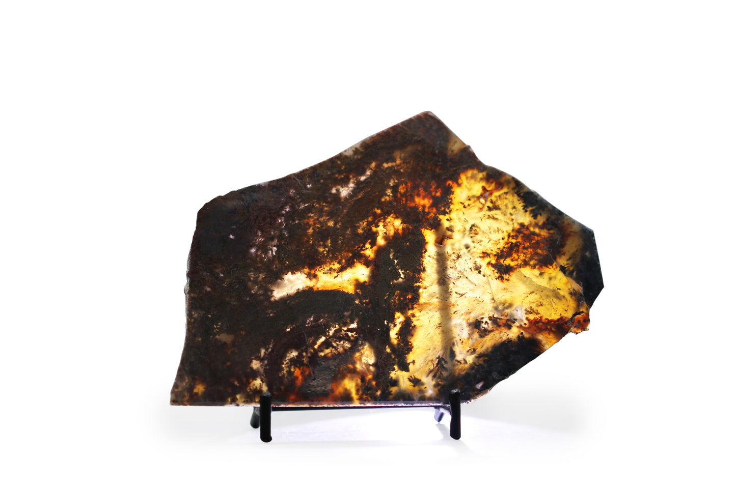 West Texas Plume Agate