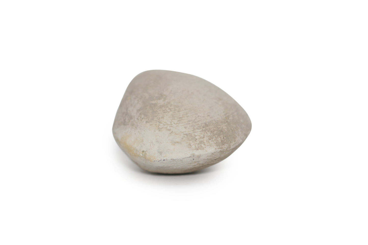 Texas Fossil Clam