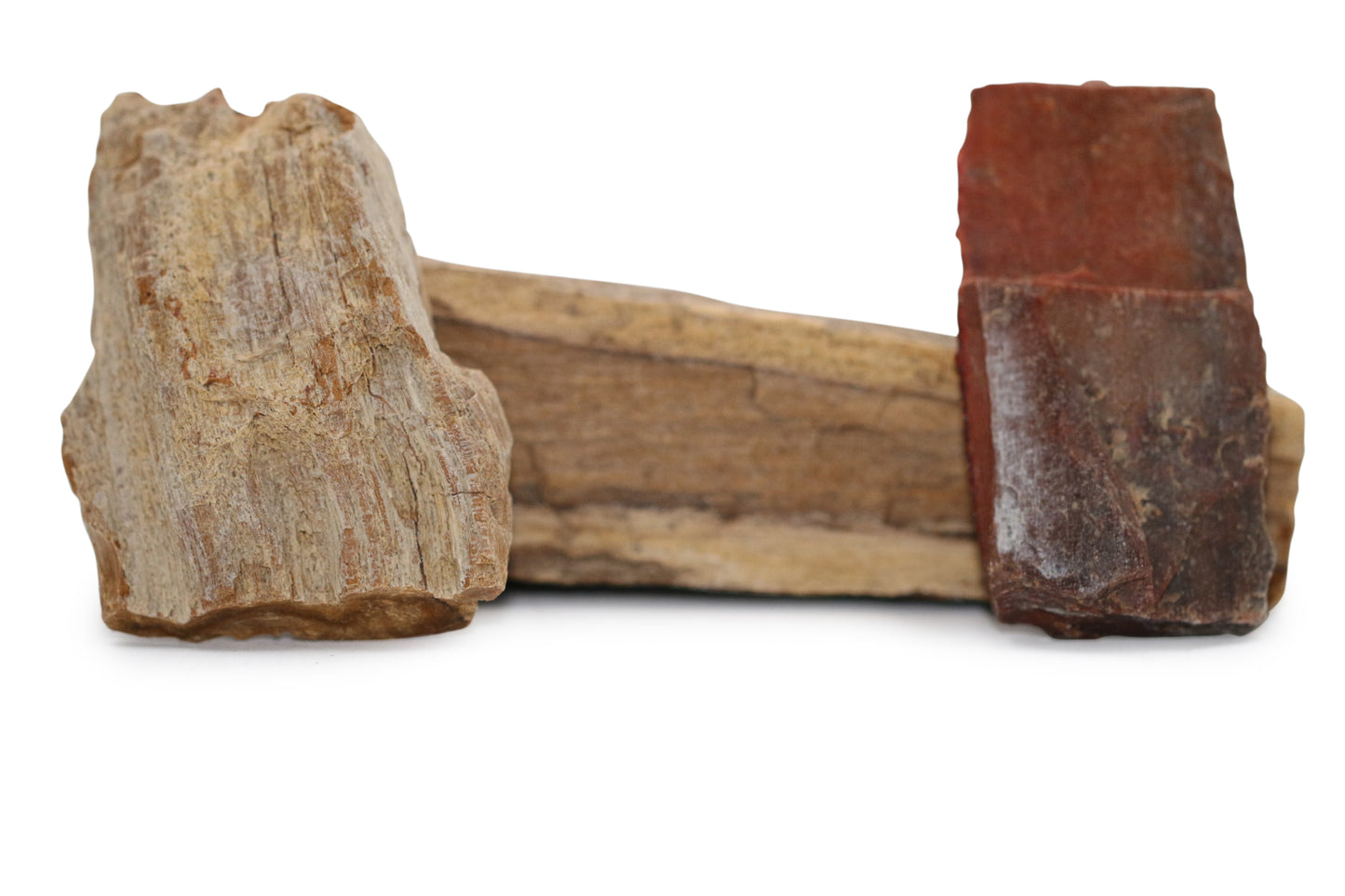 Texas Live Edge Petrified Wood