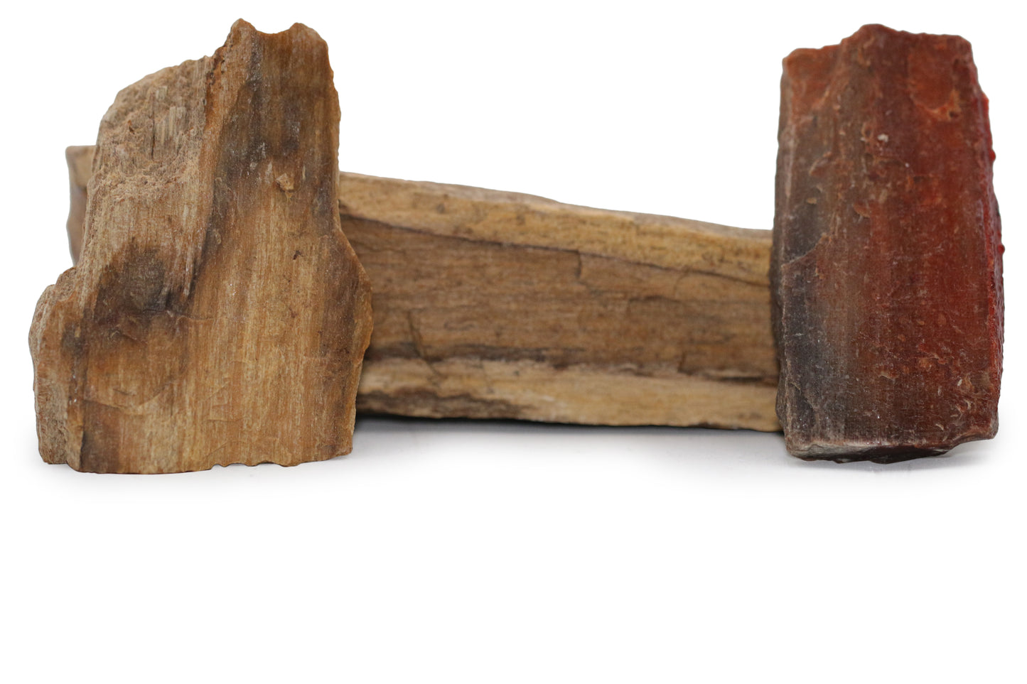 Texas Live Edge Petrified Wood