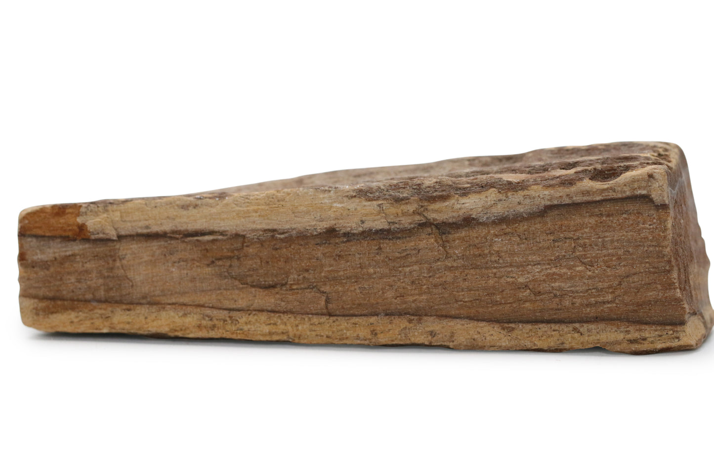 Texas Live Edge Petrified Wood