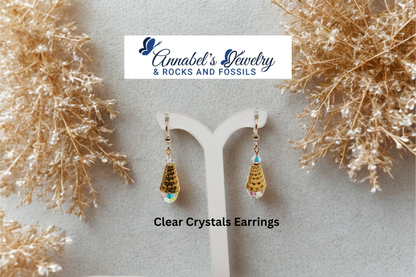 Clear Crystals Earrings