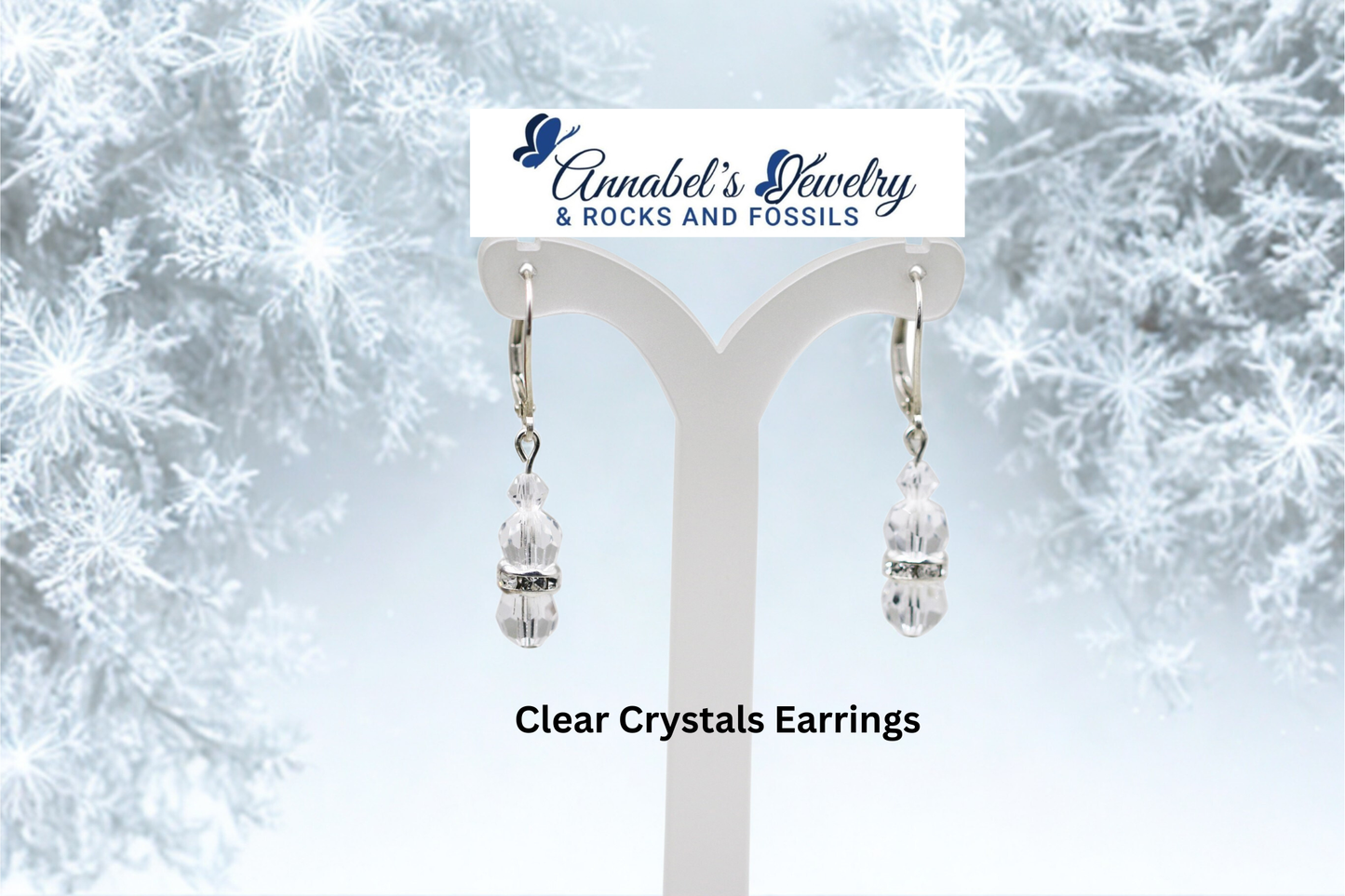 Crystals Silver Rondelles Set