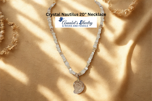 Nautilus Crystals Set