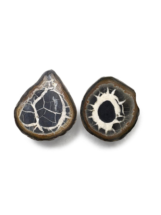 Septarian Nodules