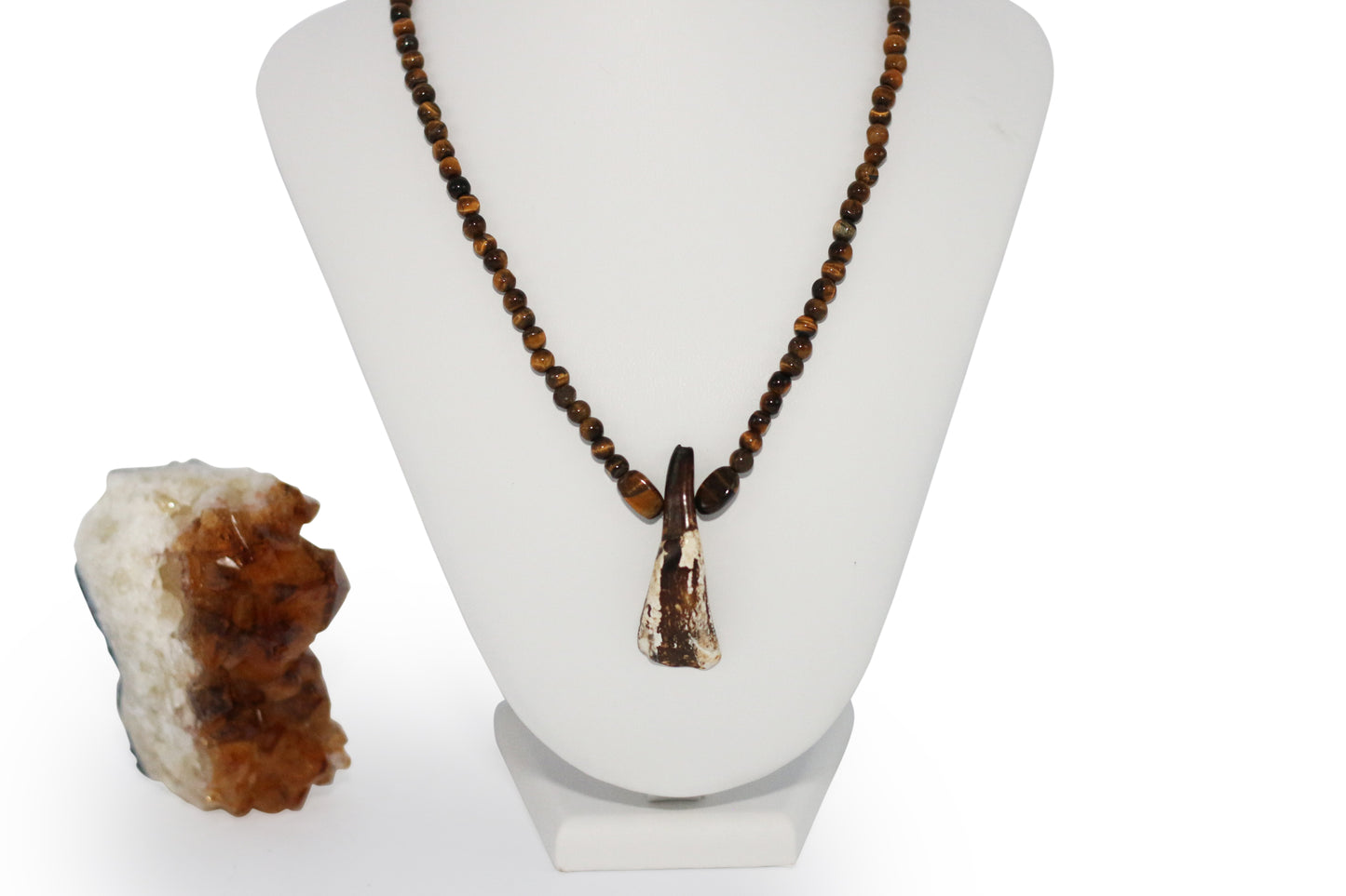 Water Buffalo Tooth 25' Necklace
