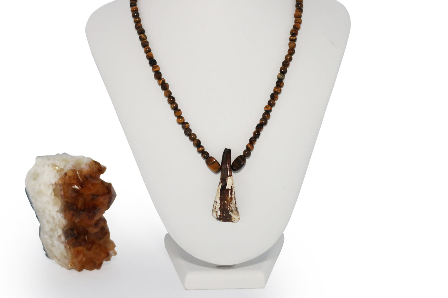 Water Buffalo Tooth 25" Necklace