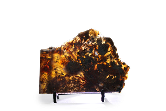 West Texas Plume Agate - Annabel's Jewelry & Leather