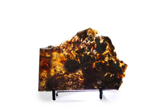 West Texas Plume Agate