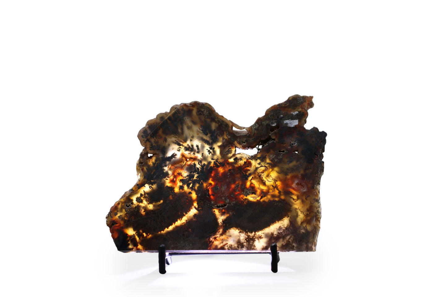 West Texas Plume Agate - Annabel's Jewelry & Leather