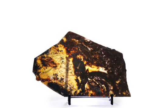 West Texas Plume Agate