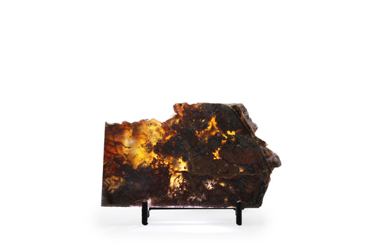 West Texas Plume Agate