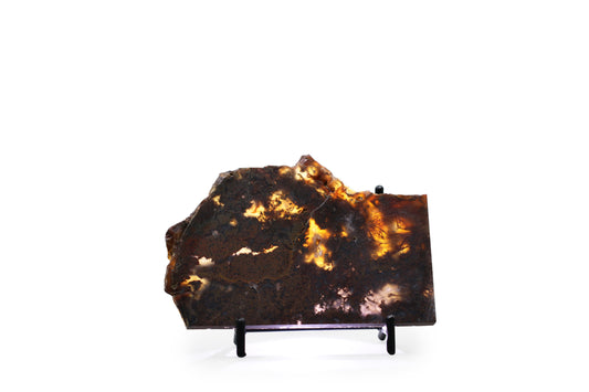 West Texas Plume Agate
