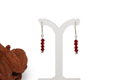 Ruby Crystals Earrings