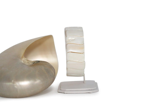 Mother of Pearl Bracelet - Annabel's Jewelry & Leather