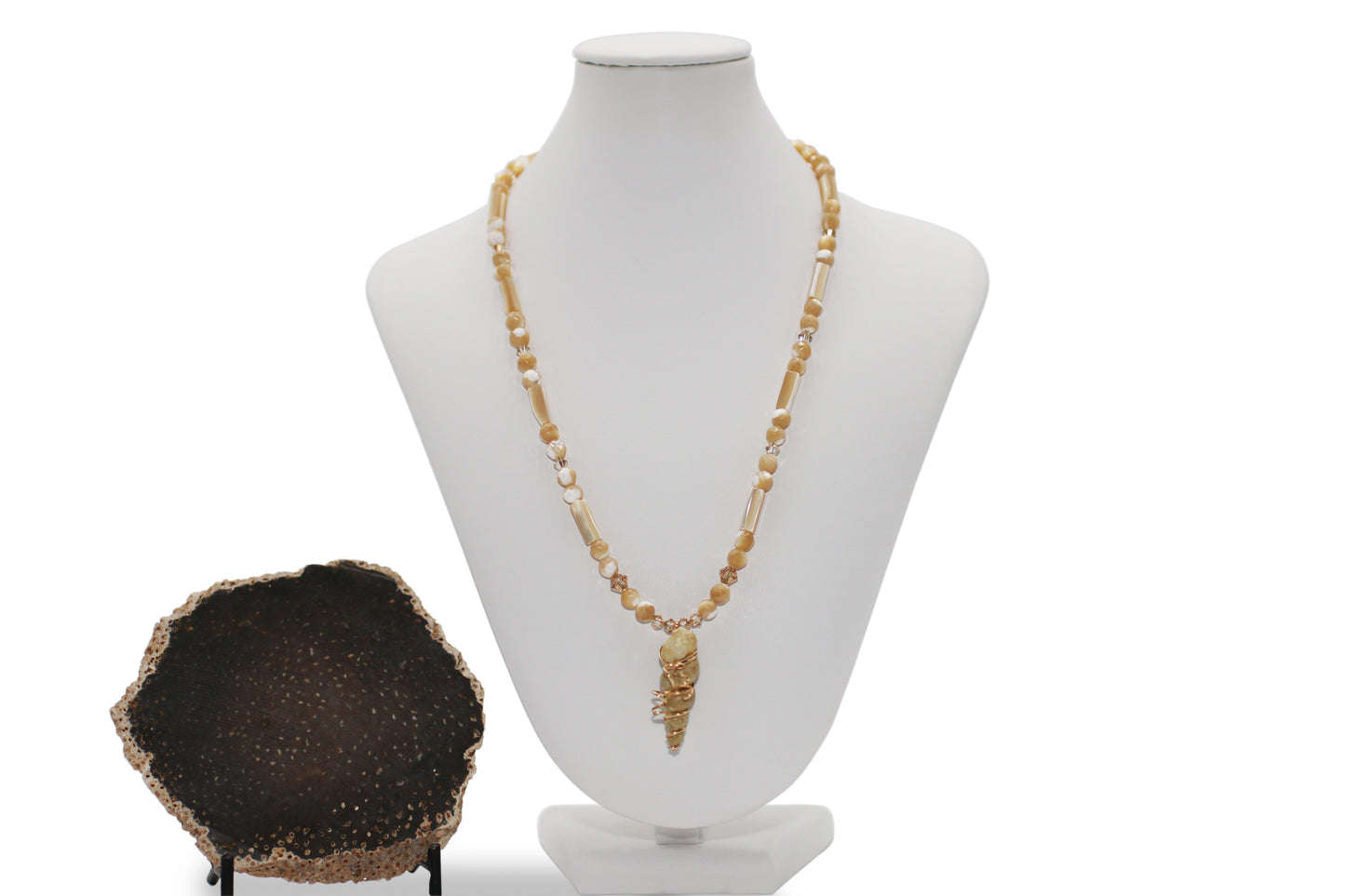 Texas Turritella Fossil Wire Wrap