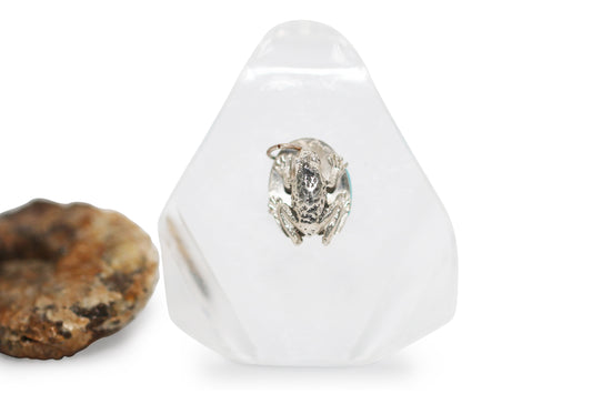 Frog Charm Pendant