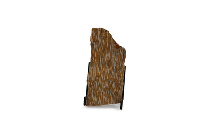Fossil Palmwood
