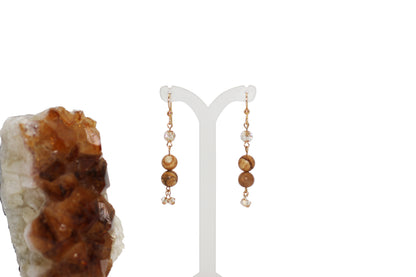 Picture Jasper Earrings