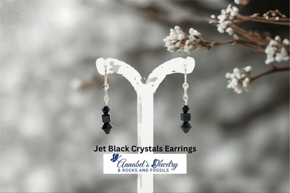 Jet Black Crystals Earrings