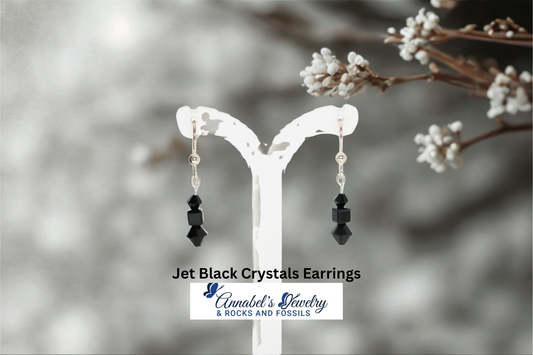 Jet Black Crystals Earrings