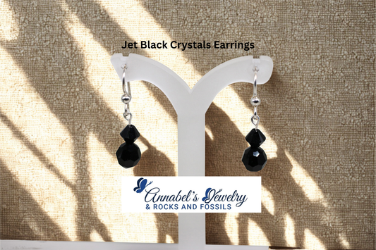 Jet Black Crystals Earrings
