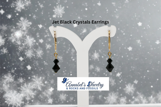 Jet Black Crystals Earrings
