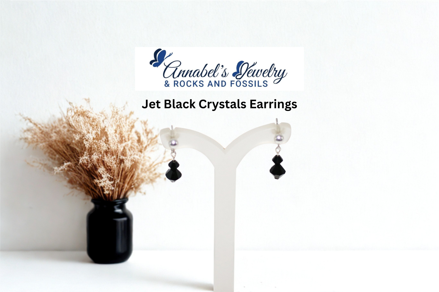 Jet Black Crystals Silver Set
