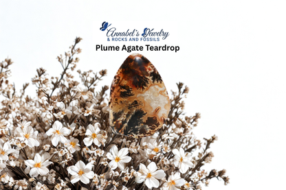 Plume Agate Teardrop