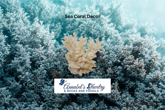 Sea Coral