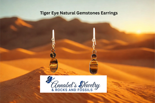Tiger Eye Gemstones Earrings