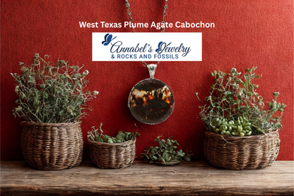 West Texas Plume Agate Cabochon
